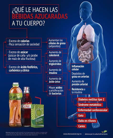 ¿qué Le Hacen Las Bebidas Azucaradas A Tu Cuerpo Infografía