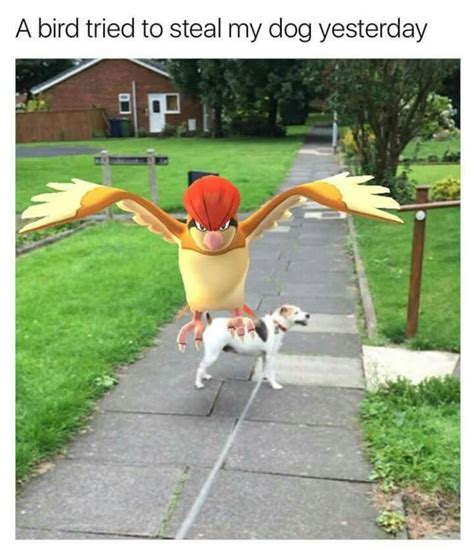 Pin By Karenmeiklejohn On Pokemon Go Funny Pokemon Go Pokemon Funny