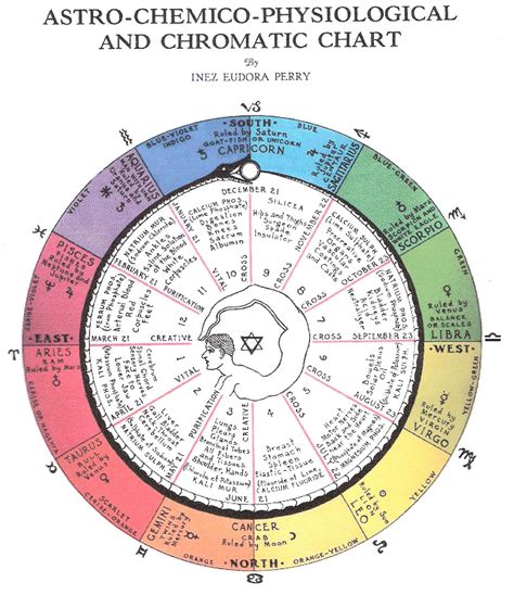 Get your 100% free astrology birth chart reading (natal report) generated instantly using our online computerized calculator. Pin on Food for thought