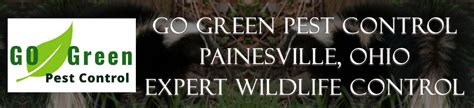 8504 reading rd cincinnati , oh 45215. Painesville, OH Wildlife Removal Pros | Bat, Raccoon ...
