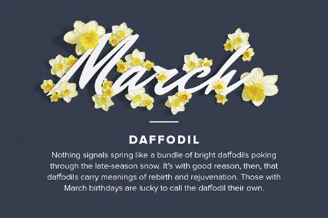 Birthday Flowers By Month Birth Month Flowers March Birth Flowers