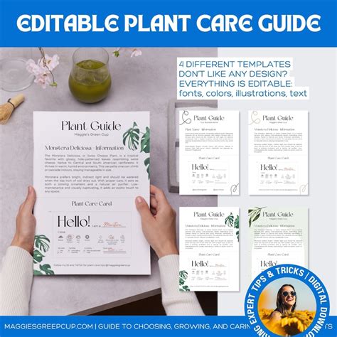 Plant Profile Care Guide Editable Canva Cards Plant Labels Indoor