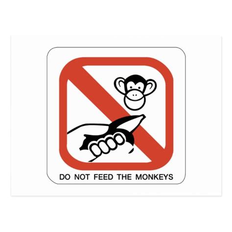 Do Not Feed The Monkey I Postcard Uk