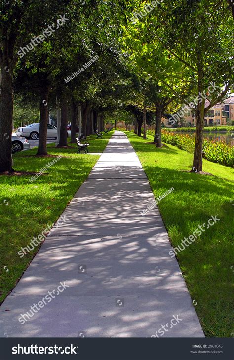 Straight And Narrow Path Under The Trees Stock Photo