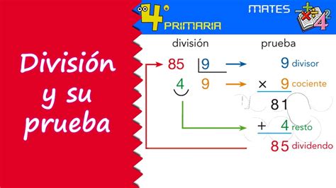 Divisiones Cómo Hacer Divisiones Partes Y Tipos De Una División A2d