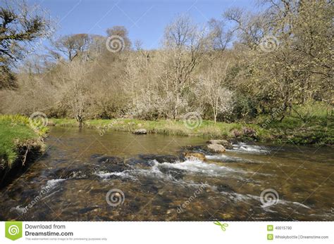 River Barle Exmoor Stock Photo Image Of Flowing Nature 40015790