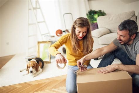 Packing Tips How To Organise Before Your Big Move Insurance Solved Blog Budget Direct