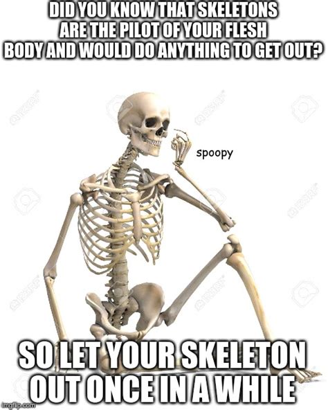 Skeleton Imgflip