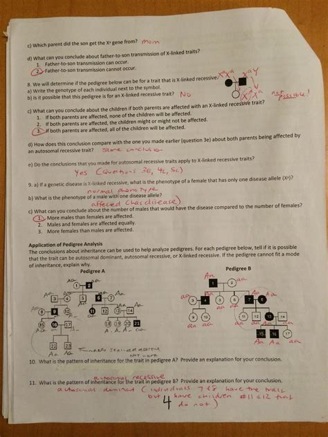 Since answering the questions in the worksheet is the same as studying a matter around and once more, obviously pupils can understand deeply. Key- PEDIGREE ANALYSIS WORKSHEET - Mrs. Paulik's Website