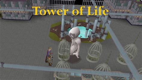 Osrs Tower Of Life Youtube