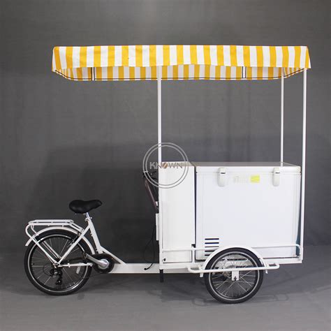 Commercial Street Cargo Bike With Fridge Freezer Bicycle Ice Cream Vending Cart Electric