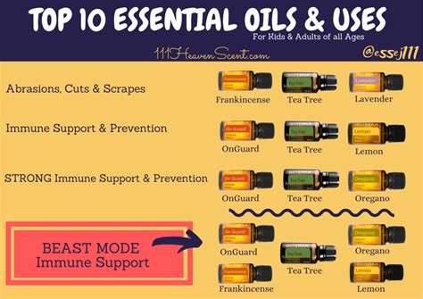 The Top 10 Essential Oils Every Household Should Have 111 Heaven Scent