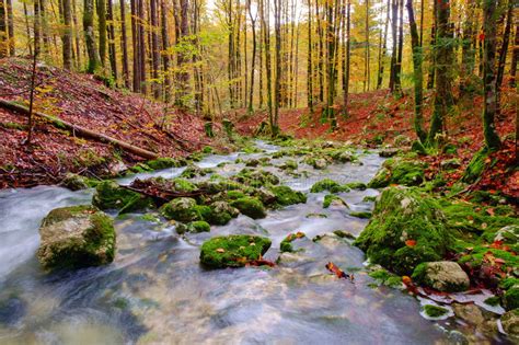 Triglav National Park In Slovenia At Autumn Stock Image Image Of