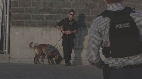 K9 Units Custom Tailor To Your K9 Teams Needs Lof Defense Systems