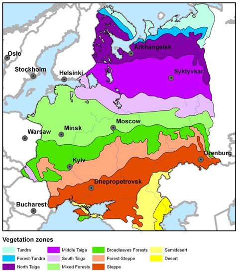 The East European Plain Taken In The Present Work And Vegetation