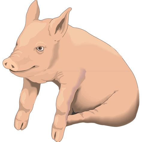 Sitting Pig Png Svg Clip Art For Web Download Clip Art Png Icon Arts
