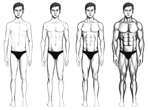 male body types by chaosbringer99 on deviantart male body body drawing body reference drawing