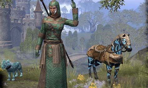 The Best Warden Class Builds For Eso High Ground Gaming