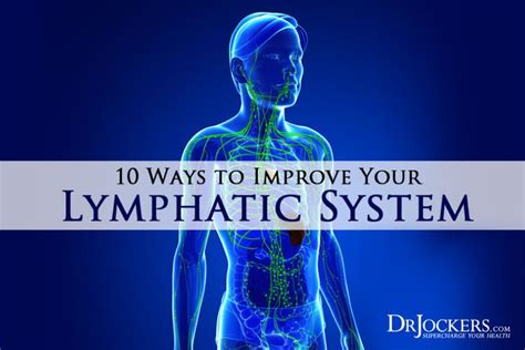10 Ways To Improve Your Lymphatic System Lymphatic
