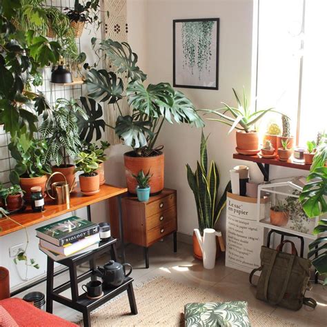 10 Houseplant Lovers To Follow On Instagram Retro Home Decor Plants