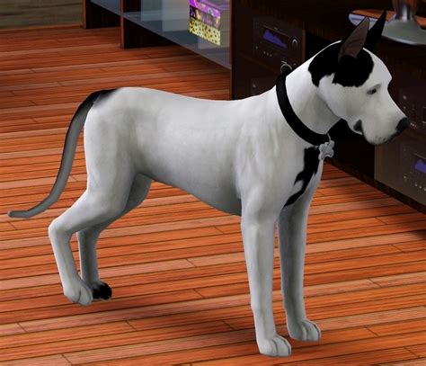 Sims Kennel Club Skc Sims Sims 3 Kennel