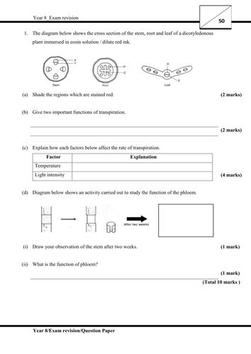 Revision 1 Exam Style Questions Ks3 Year 8 Igcse Teaching Resources