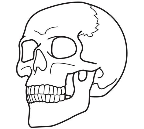 Candy skull coloring pages free printable sugar skull coloring. Free Printable Skull Coloring Pages For Kids