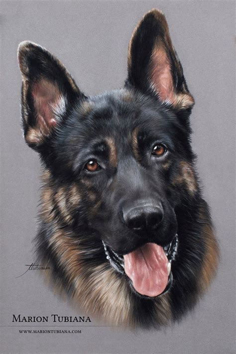 By Marion Tubiana Germanshepherd German Shepherd Painting Dog