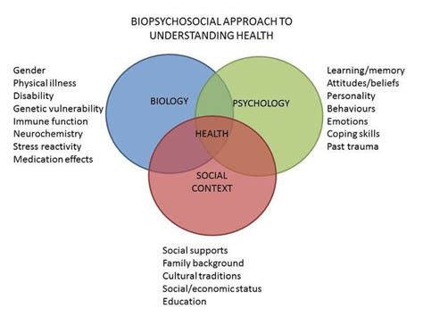 Biopsychosocial Model Of Health Health Psychology Clinical Social