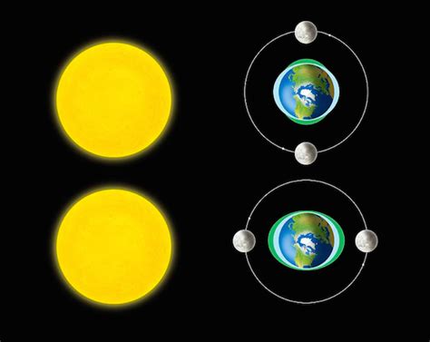 1 Schematic Of Spring And Neap Tides Formation Based On The Sun Moon