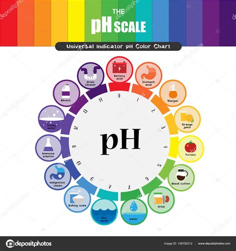 Die Ph Skala Universal Indikator Ph Color Chart Diagramm — Stockvektor