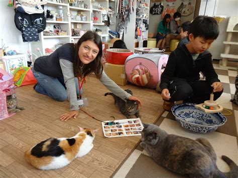 Tokyo has achieved worldwide fame for its animal cafés. Fj Cat Cafe near Ueno Station Tokyo | Jeff and Neda Fields ...
