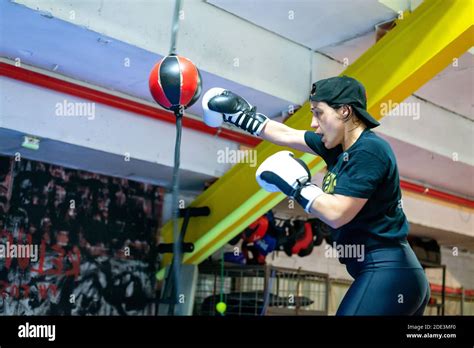 Boxerin Beim Training Beim Boxball Stockfotografie Alamy