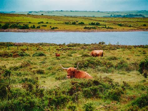 Your Ultimate Bodmin Moor Travel Guide With 18 Amazing Things To Do In