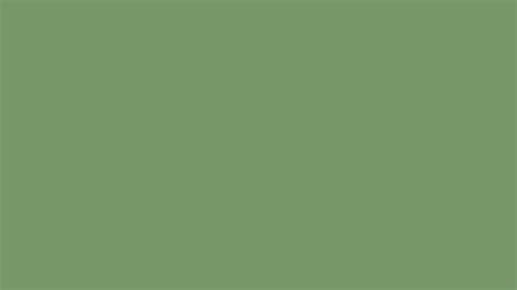 Pantone 16 0228 Tpg Jade Green Color Hex Color Code 779768