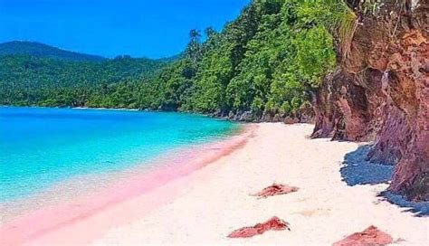 Pink Beach In Northern Samar Ev Learners