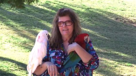 Arizona Bird Store Dancing Parrot Parrots In The Park Youtube