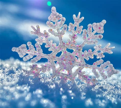 Snowflake Ice Season Snow Winter Hd Wallpaper Peakpx