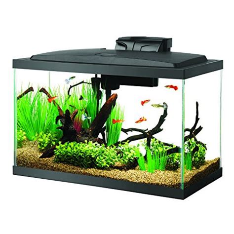 Aqueon Fish Aquarium Starter Kit Led 10 Gallon Pets Trend Store