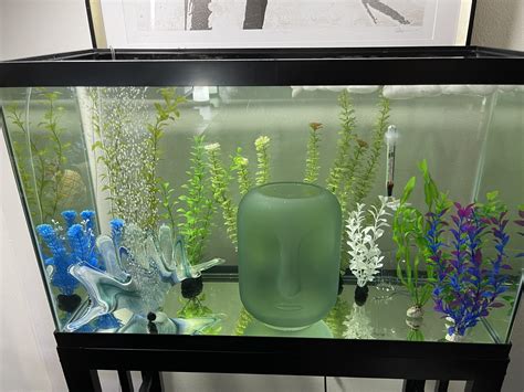Preparing My Tank For My Axolotl Any Recommendations On The Tank Set
