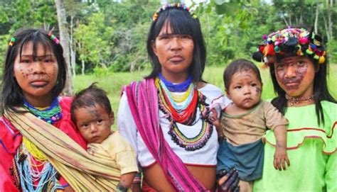 Protocolos Indígenas En Perú Un Camino Para La Autonomía Por Rocío