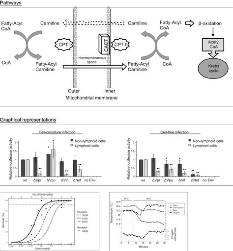 Content Update: [MCAT | Test Prep] Biological and Biochemical