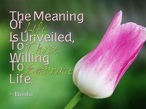 ~ ƸӜƷ•°* #Meaning Of #Life Unveiled *°•ƸӜƷ ~ | Beautiful quotes ...