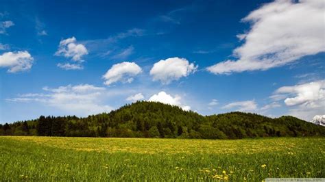 41 Mountain Meadow Wallpaper On Wallpapersafari