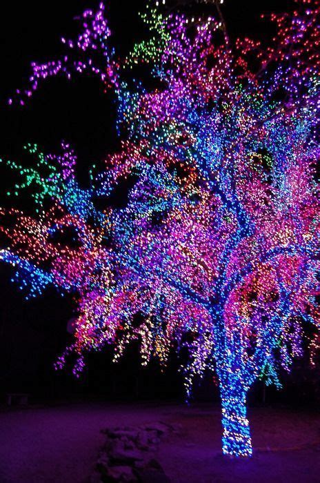 Magical Purple Tree Purplelightschristmasmagicbeautifultree