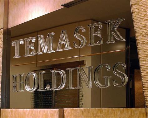 Temasek Holdings Says To Issue Benchmark Euro Bonds Business News