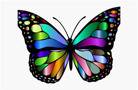 Monarch Butterfly Clipart Png Full Hd Butterfly Color Transparent