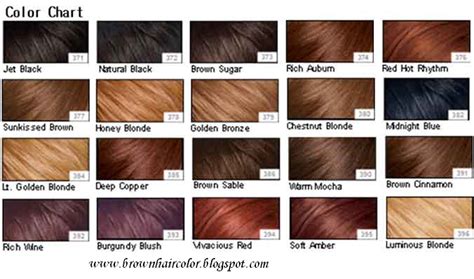 Evolutia Stelara Brown Hair Colours Chart