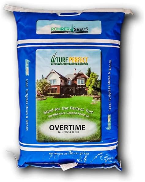 Overtime Tall Fescue Grass Seed A Drought Resistant