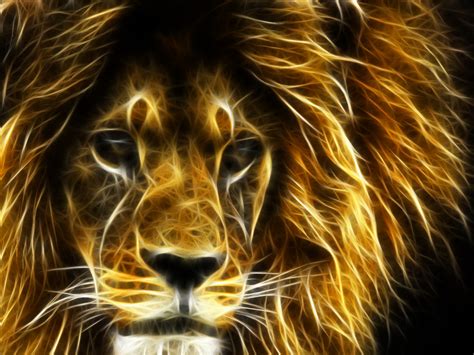 43 3d Wallpaper Desktop Backgrounds Lion